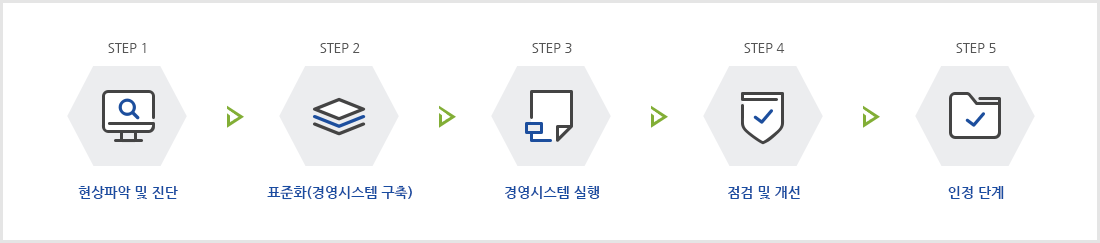 STEP 1.준비 및 교육단계 → STEP 2.현상파악 단계 → STEP 3.표준화 단계 → STEP 4.실행 단계 → STEP 5.보완 예비 인정단계 → STEP 6.인정 단계