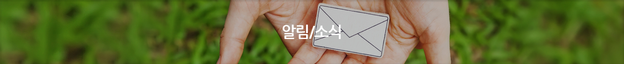 알림/소식