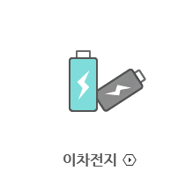 이차전지